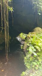 Land Und Leute 037